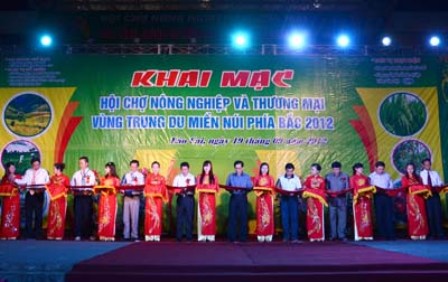 2012年越南北部山区和丘陵地区贸易促进与农业投资博览会隆重开幕